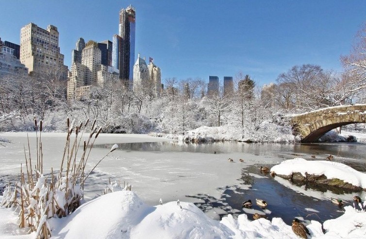 САД ПОГОДЕНИ ОД ОСТАР ЛАДЕН БРАН - 30 мртви во зимската бура, илјадници домаќинства без електрична енергија (ВИДЕО)