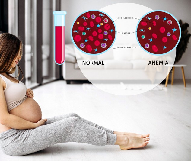 ШТО ТРЕБА ДА ЗНАЕТЕ ЗА АНЕМИЈА ВО ТРЕТИОТ ТРИМЕСТАР ОД БРЕМЕНОСТА: Зголемен ризик од предвремено породување и ниска родилна тежина