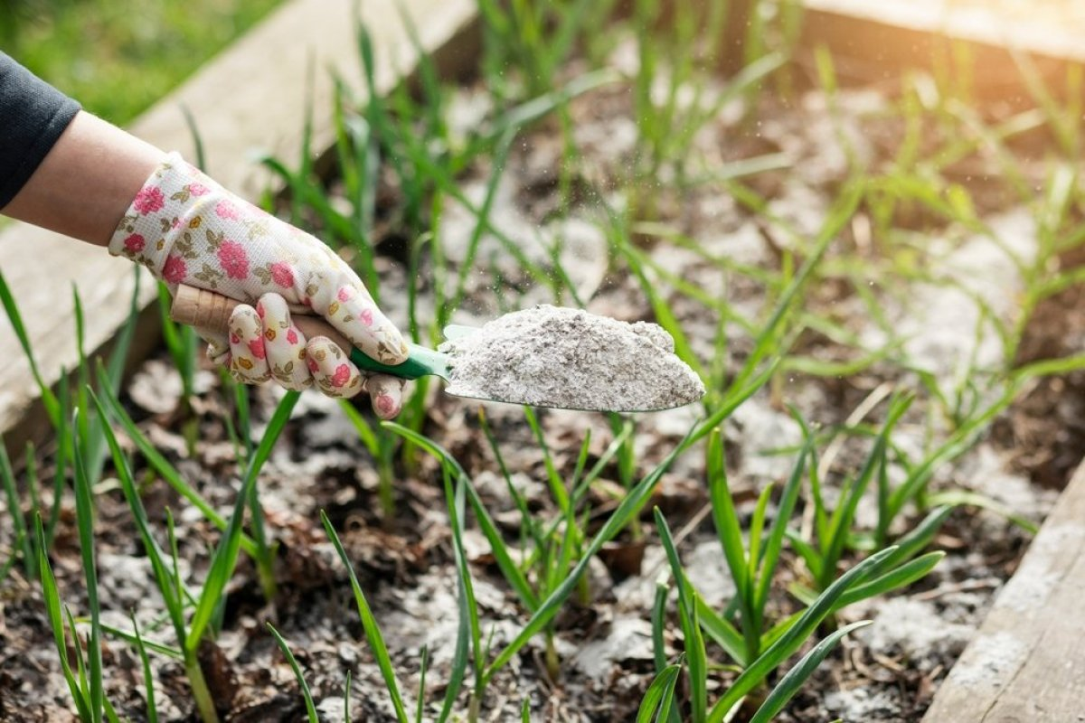 Никогаш не фрлајте пепел од печката: Вреди злато, еве како може да ви го олесни животот
