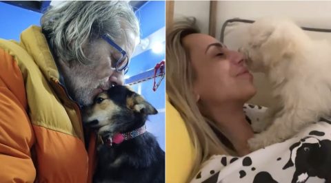 На овие две наши естрадни фаци кучињата им збогтисаа, па ги огласија за продажба: Ферхунде и Бела завршија на оглас за „шиткање“ или Џамбазов и Марија Луиса им приредија само мало плашење? (ВИДЕО)