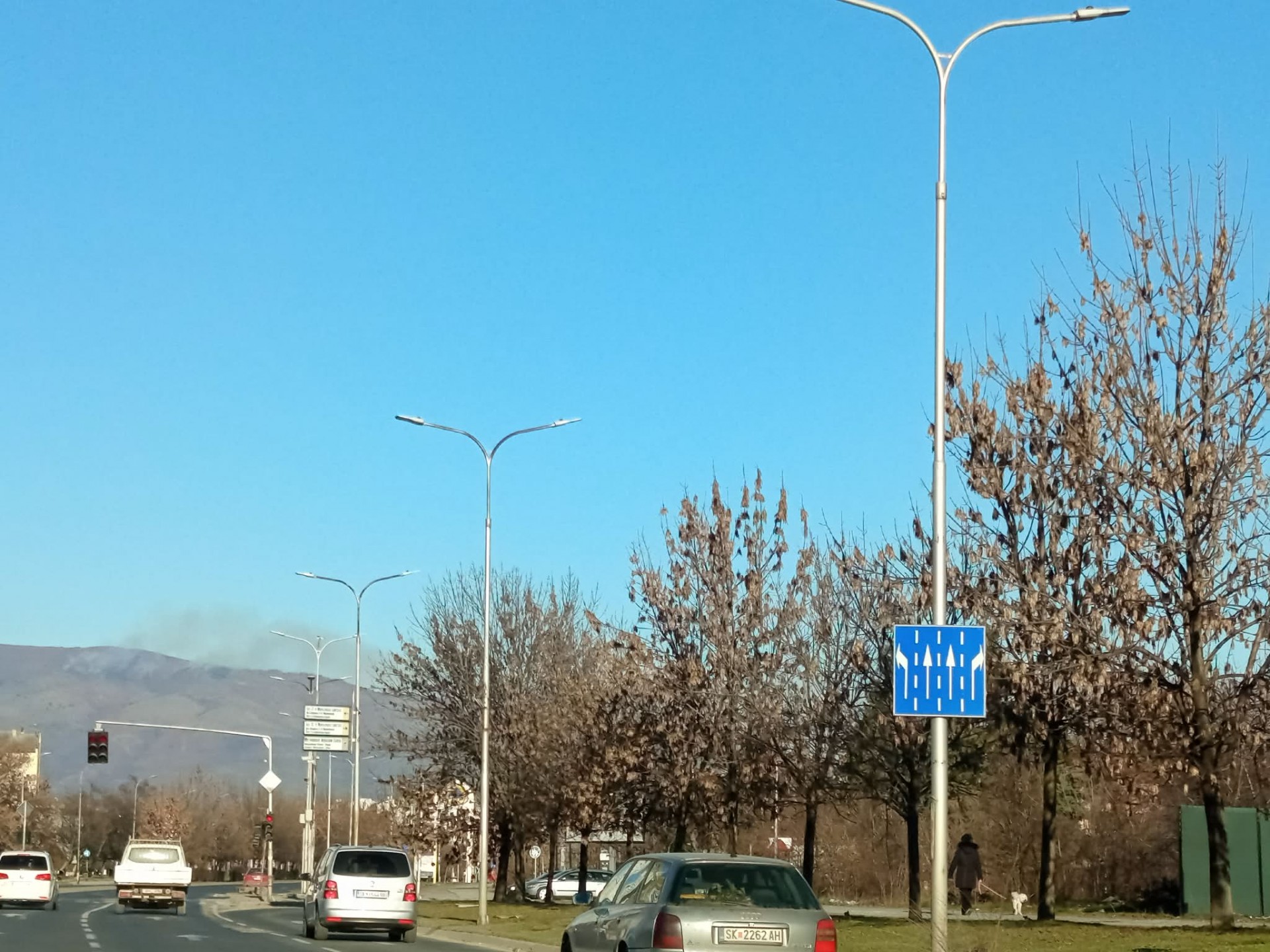 Пожар изби на Скопска Црна Гора