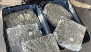 Откриени 5 килограми марихуана во автомобил на кумановец