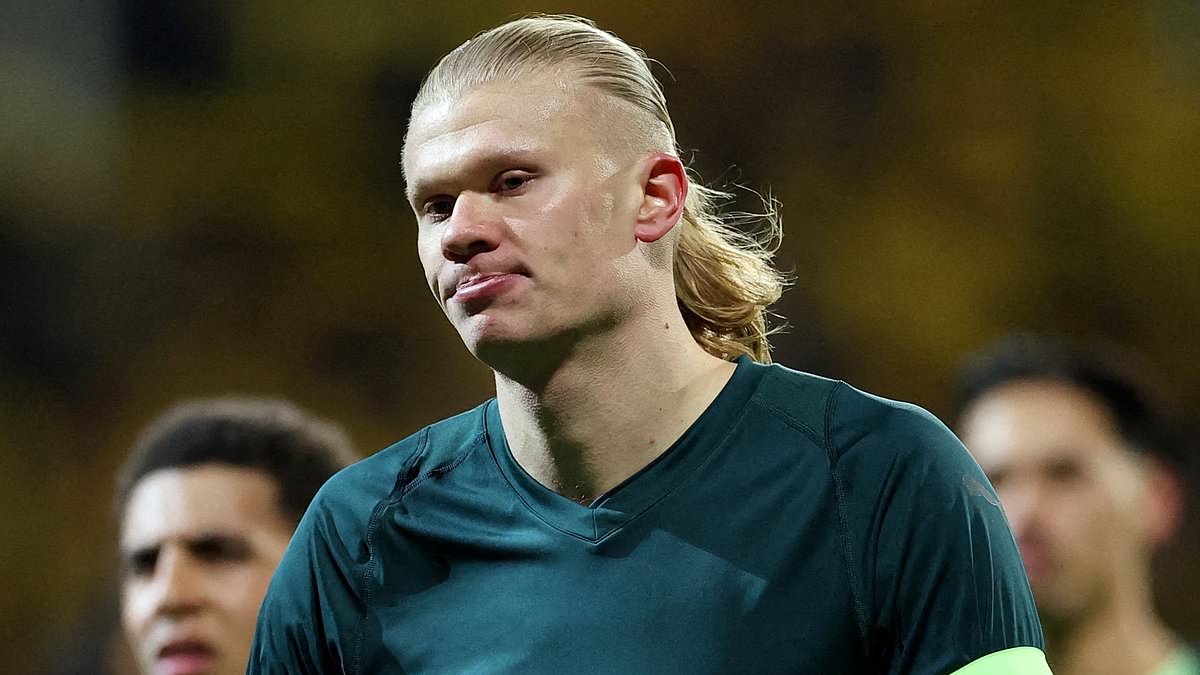 Халанд: Се извинувам на навивачите, ова е срамота за сите нас