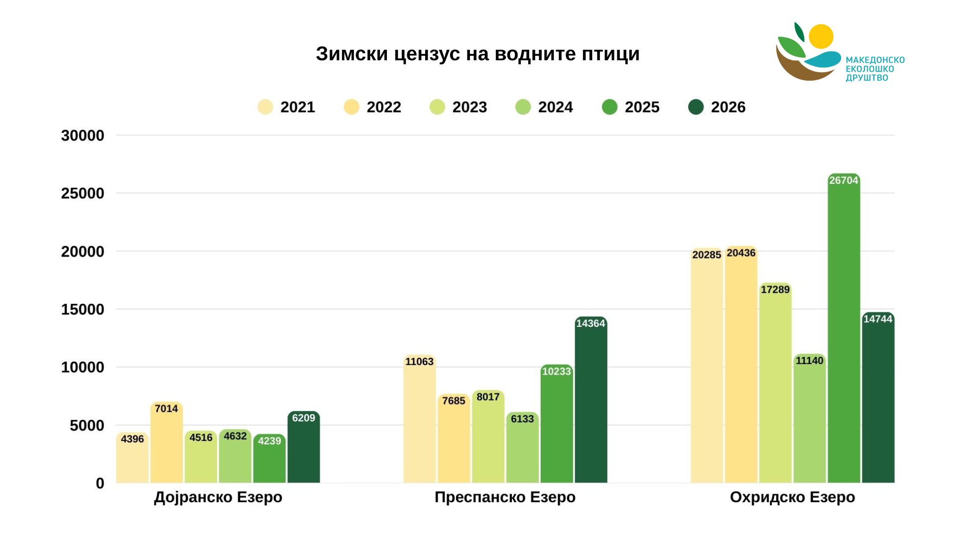 Заврши зимскиот цензус на водните птици: Дојранско Езеро со стабилни бројки, а на Преспанско и Охридско со поголеми промени