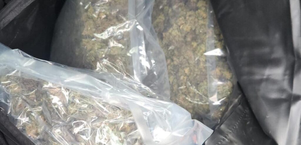 Пронајдени пет килограми марихуана во Скопје, лишен од слобода скопјанец, одреден му е притвор