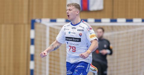 Фараните лудо до реми со Швајцарија, Унгарија силна со Полска