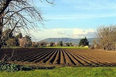 Што е „Меркосур“ и за кого е важен овој договор? Земјоделците се против, еве од што се плашат