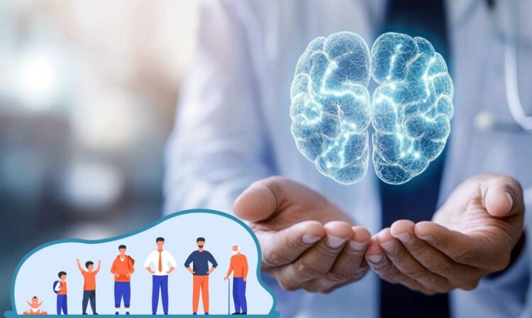 ОД ДЕТСТВО ДО СТАРОСТ: Човечкиот мозок се преобликува пет пати во текот на животот