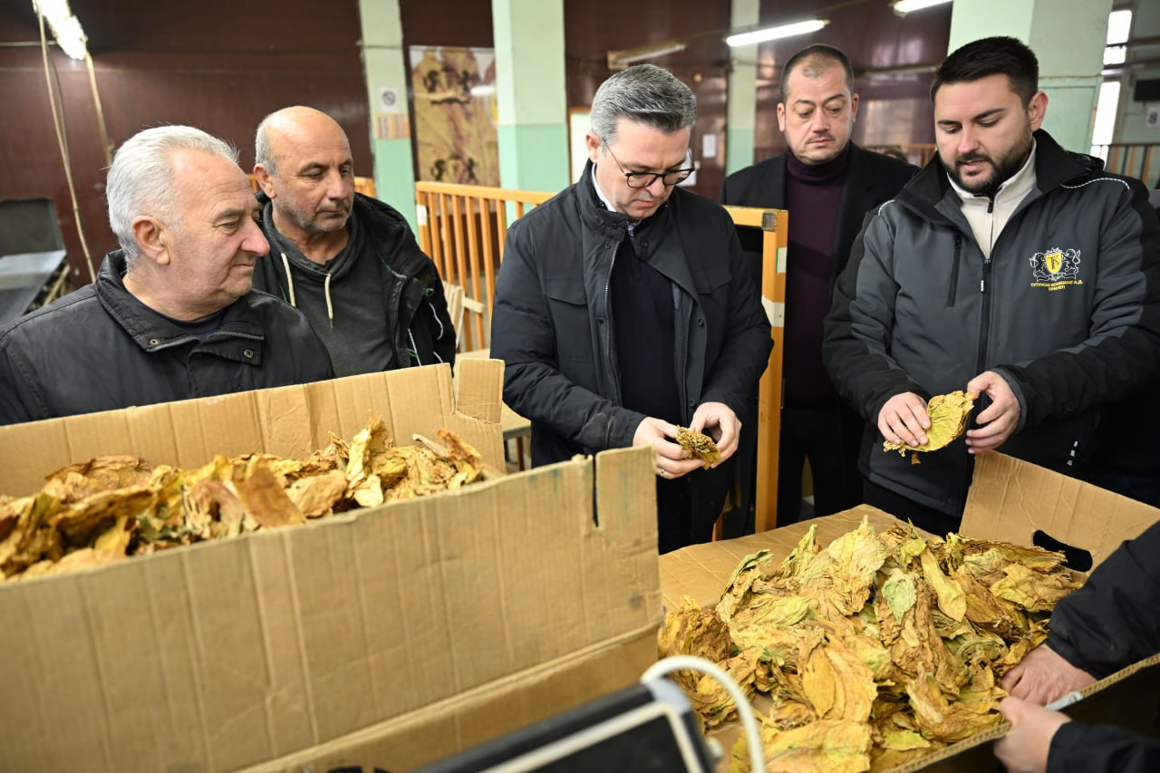 Трипуновски: Досега се откупени 25,3 милиони килограми тутун во вредност од 170 милиони евра