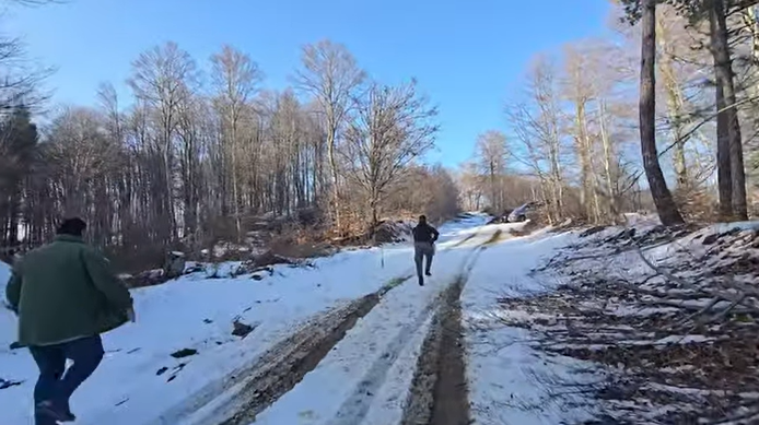 (ВИДЕО) Михаилов објави снимка: Фатиле дрвокрадци кои ја пустошеле Плачковица