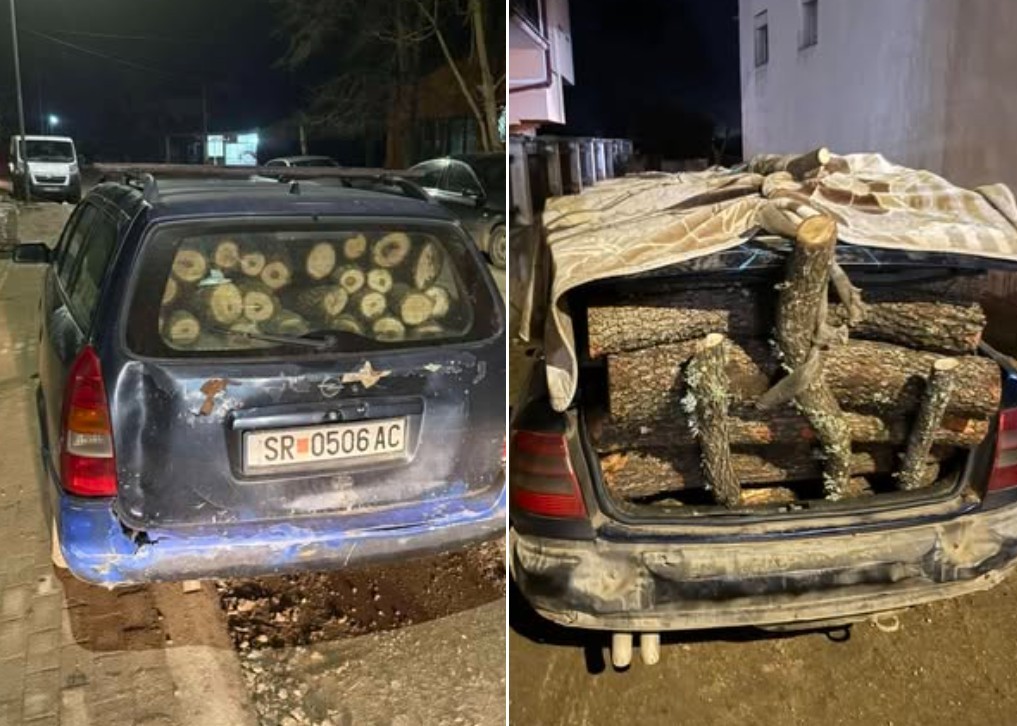 „ОДЗЕМЕНИ УШТЕ ДВЕ ПАТНИЧКИ ВОЗИЛА СО НЕЛЕГАНО ПРЕСЕЧЕНИ ДРВА“: Михаилов со нова објава вечерва