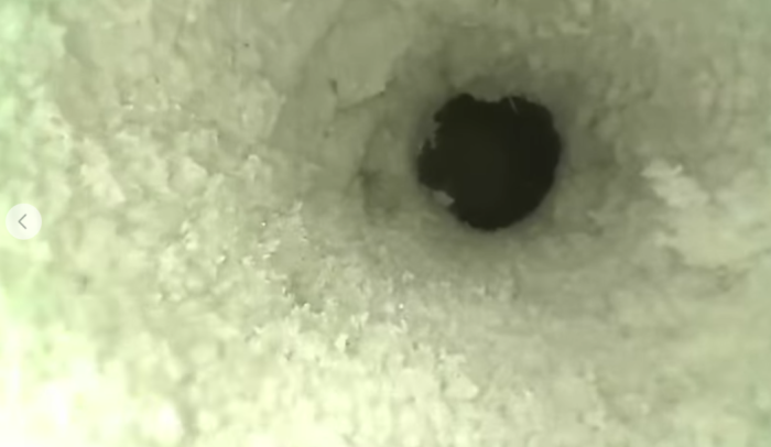 Во скриен бункер на камион на ГП Стар Дојран пронајдени 5050 штеки цигари | ВИДЕО