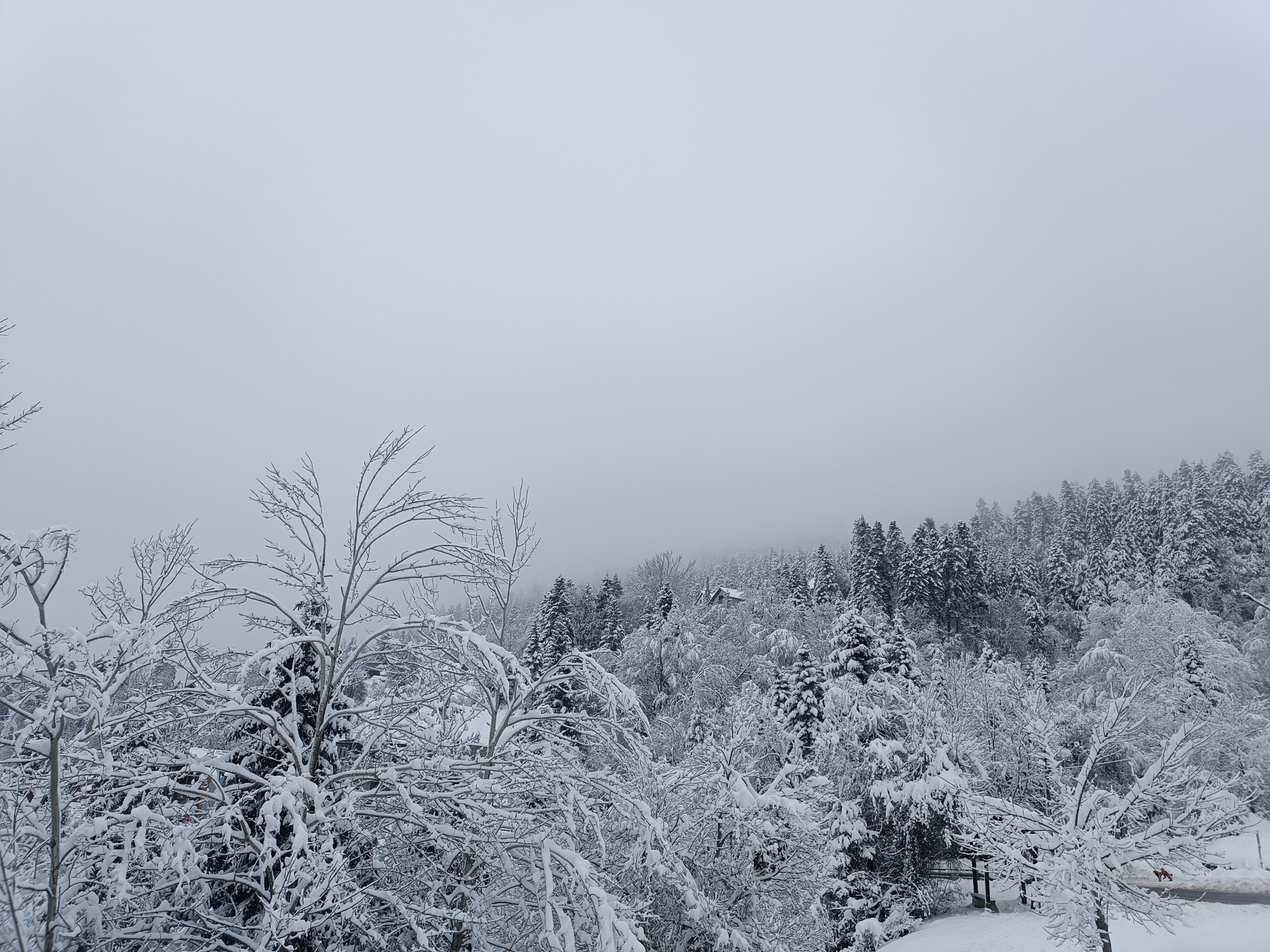НЕВЕРОЈАТНИ 60 САНТИМЕТРИ СНЕГ: Москва го собори рекордот на снежин врнежи