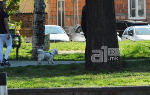 Ќе се градат гробишта за миленици, се утврдуваат локации во општините