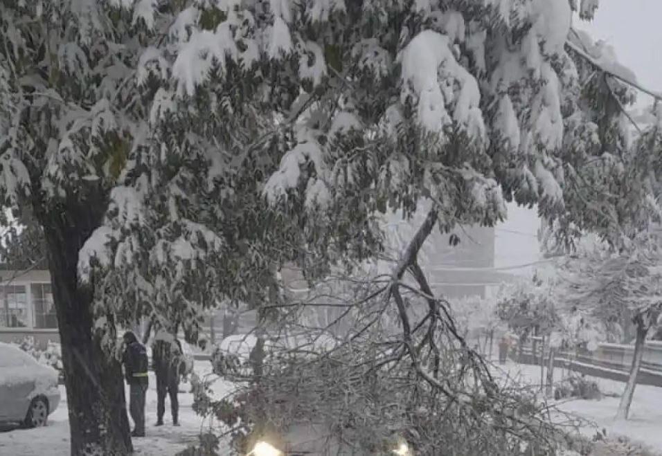 МЕТЕОАЛАРМ НАЈАВА: Од четврток (8 Јануари) доаѓа снегот и во Македонија