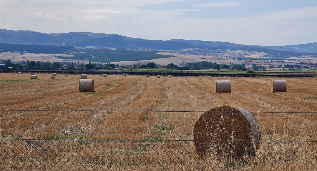 НЕМА СИГНАЛИ ЗА ПРЕСВРТ ВО РАСТОТ НА ГЕРМАНСКАТА ЕКОНОМИЈА, германската влада ги намали прогнозите за раст