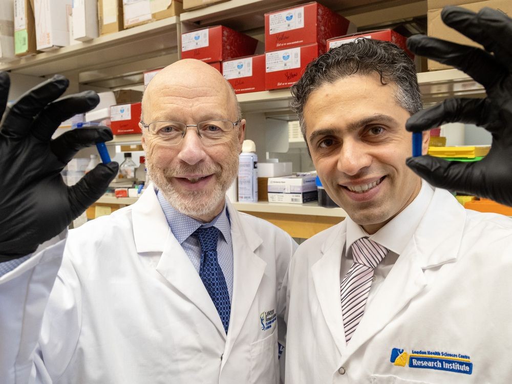 Револуционерни „апчиња од измет“ ги трансформираат третманите за рак: Новото откритие носи нова надеж за пациентите