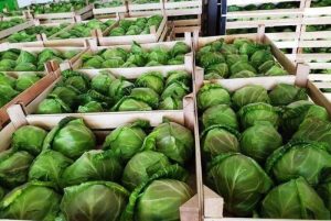 Зголемен е извозот на земјоделски производи за 5,5% во 2025 споредбено со 2024 година