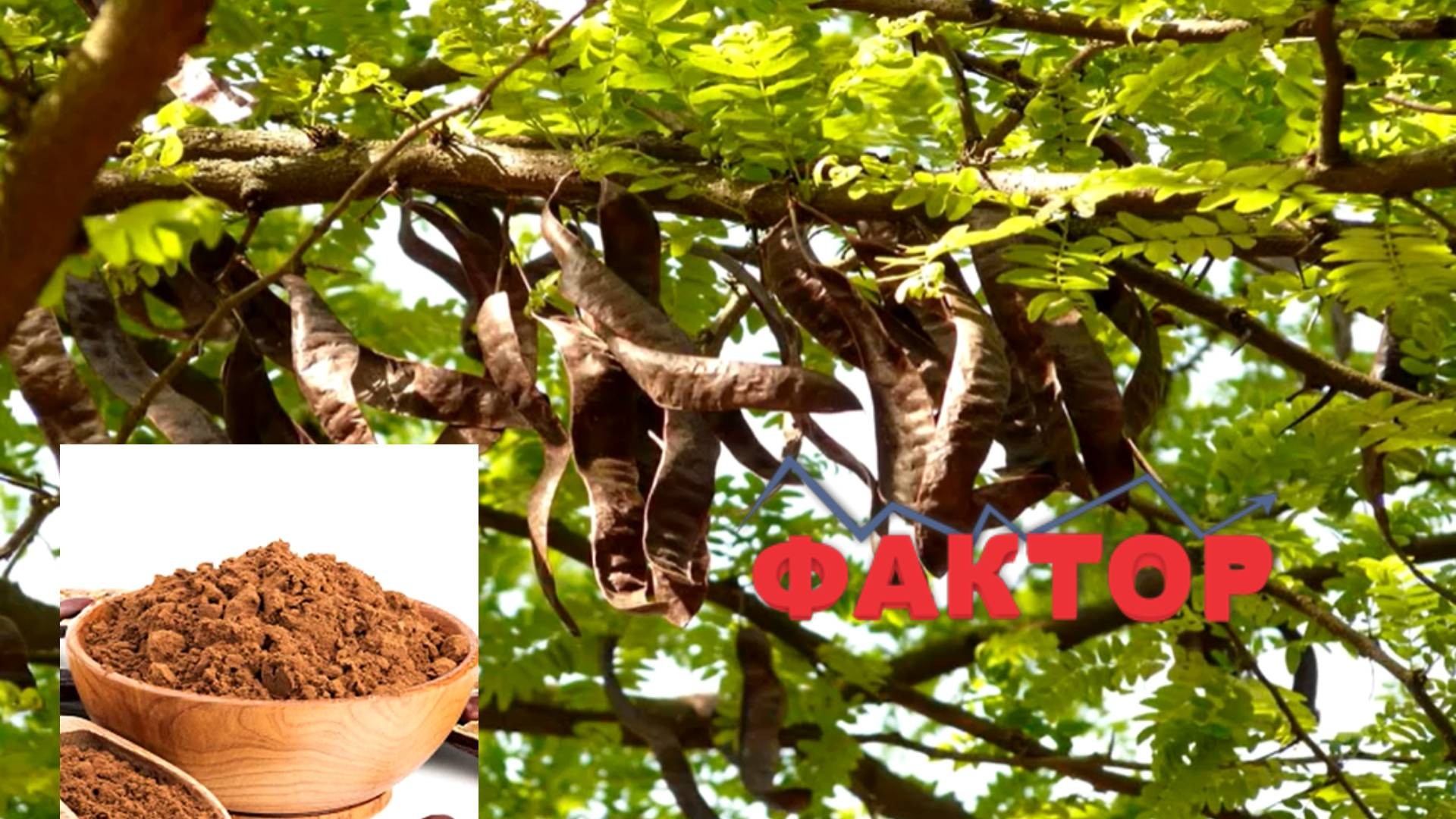 ГО НАРЕКУВААТ „ЗЛАТО НА МЕДИТЕРАНОТ“: Дел од Македонците го нарачуваат поради здравствените бенефити