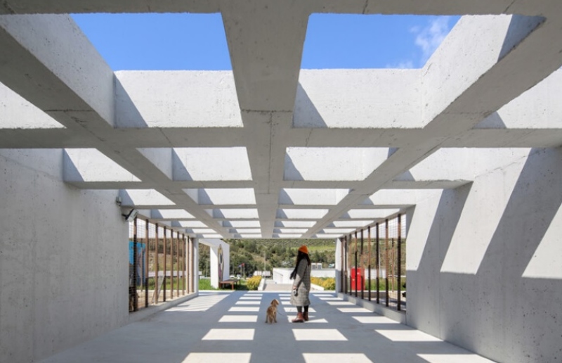 Повеќе од азил: Како архитектурата во Измир е ставена во служба на посвојувањето кучиња