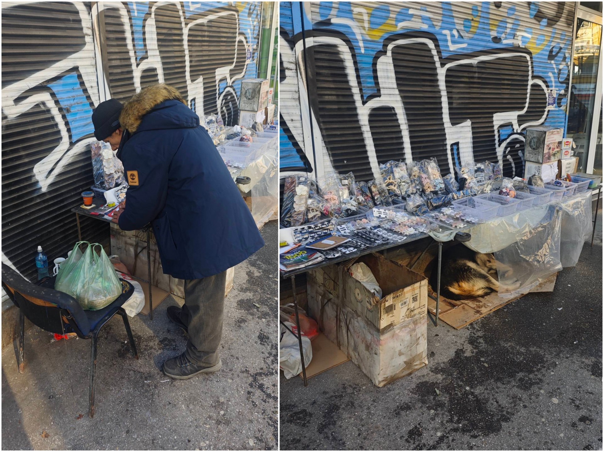 Чичко Драги од Рекорд – тивкиот херој на Скопје: Живее скромно, а дава сè за уличните кучиња