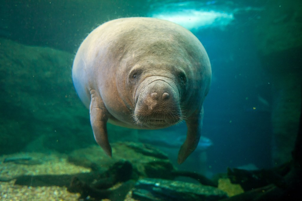 Го лажам син ми 24 години – лажењето ми го обзема целиот живот