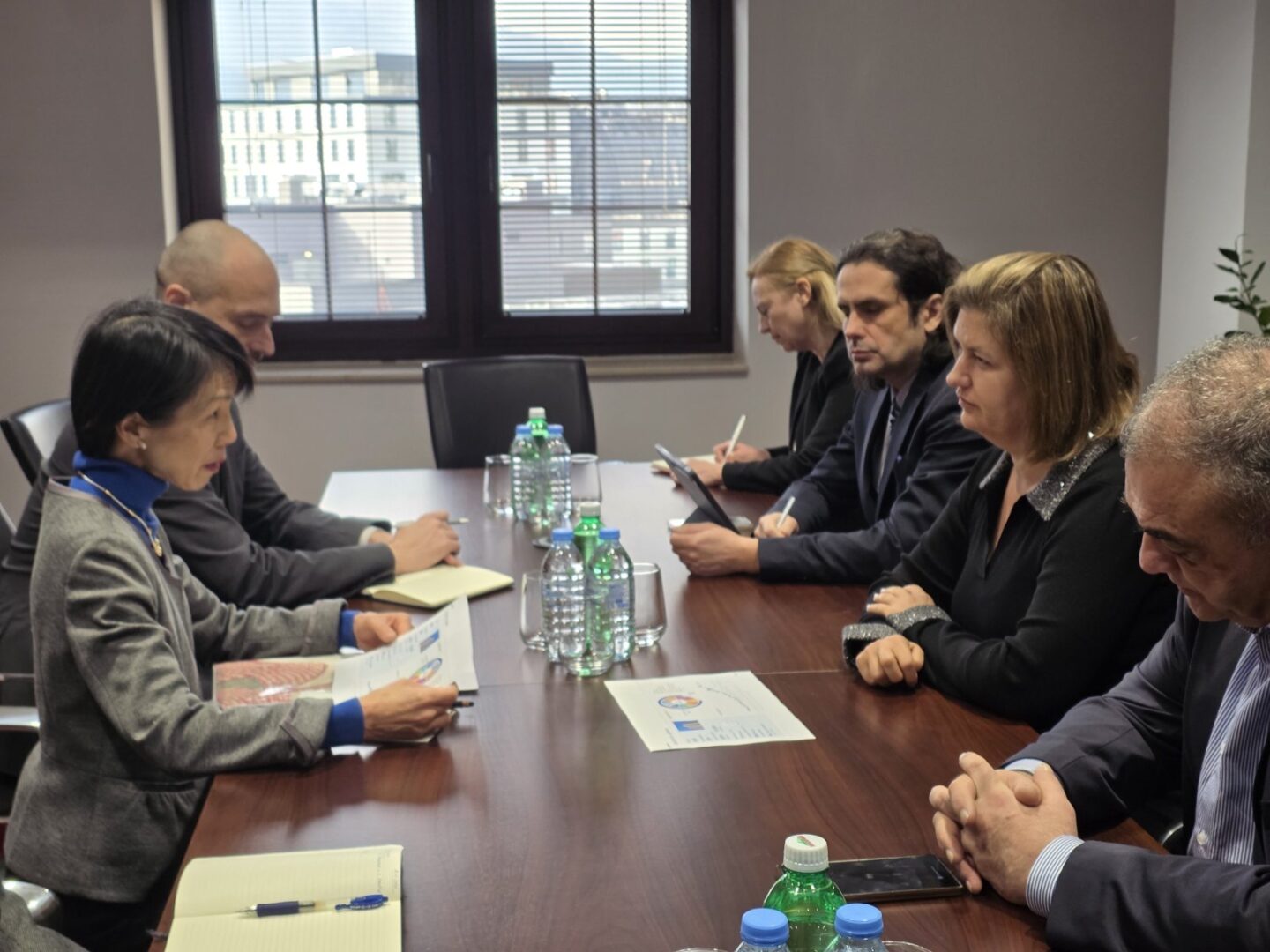 Божиновска-Кавахара: Продлабочување на соработката за безбедна и одржлива енергетска иднина