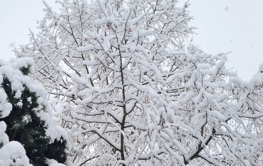 ВРНЕЖИ ОД СНЕГ ВО СКОПЈЕ, ОД УТРЕ ДО САБОТА ПОРАСТ НА ТЕМПЕРАТУРИТЕ