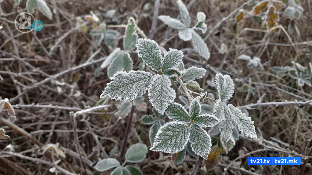 Најстудено на Попова Шапка