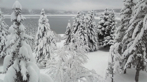 Обилни врнежи во Маврови Анови, снежна покривка од 43 сантиметри на Попова Шапка