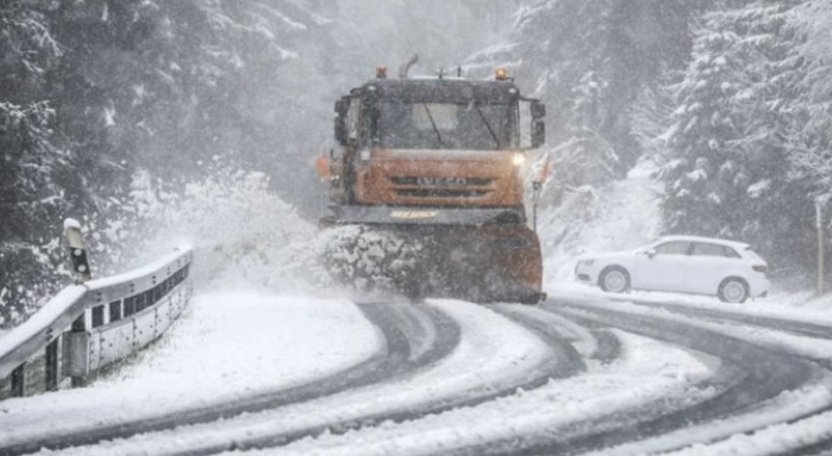 АМСМ: Непрооден е патот кон ХЕЦ Козјак поради појава на голомразица