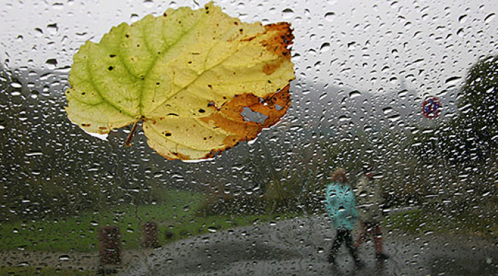 Најмногу дожд во Крива Паланка, најстудено на Попова Шапка