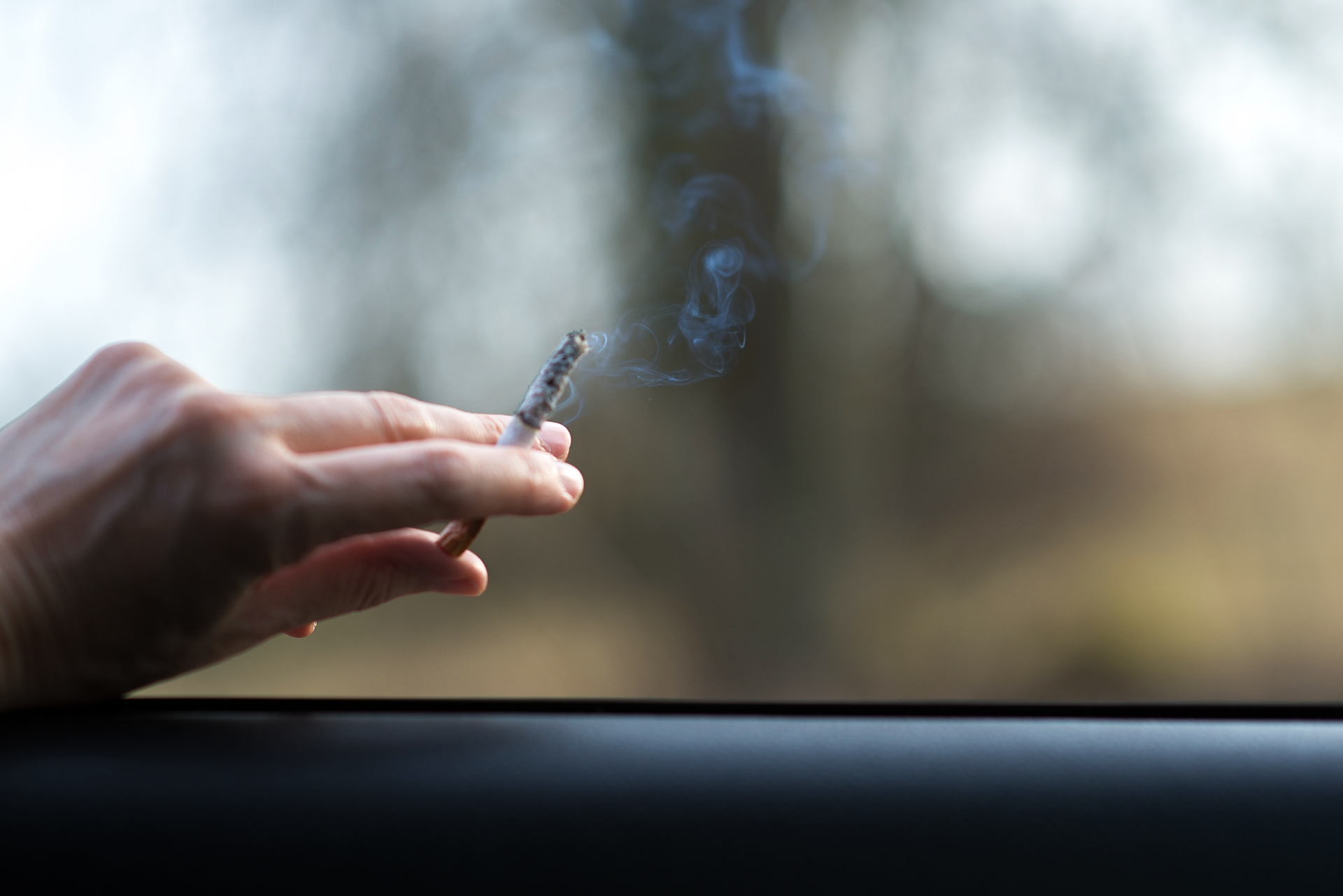 „За почиста Македонија“ до Владата ја достави петицијата за да се прошири „Safe City“ со казни за фрлање отпад и отпушоци