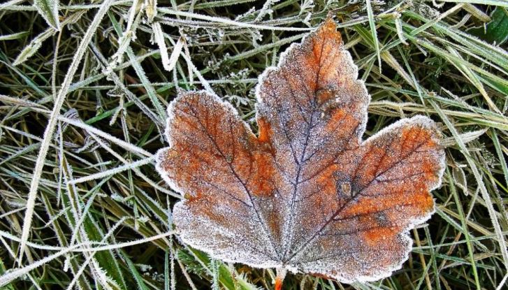 Студено време со температура од -13 степени во првиот ден од Новата година