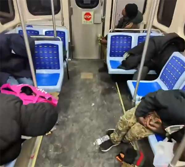 Чикашкиот Сноупирсер