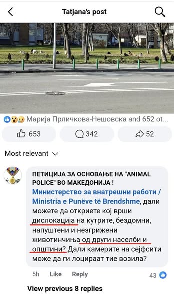 Анима мунди бара итна истрага за организирано дислоцирање кучиња во Скопје