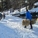 Прихрана на дивечот во Националниот парк Пелистер