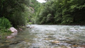 ЦУК: Автомобил падна во реката Радика, на терен се сите спасувачки служби