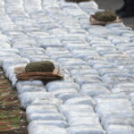 Куче-душкач открило дрога во вредност од 1,7 милиони евра на пристаништето во грчкиот град Патра