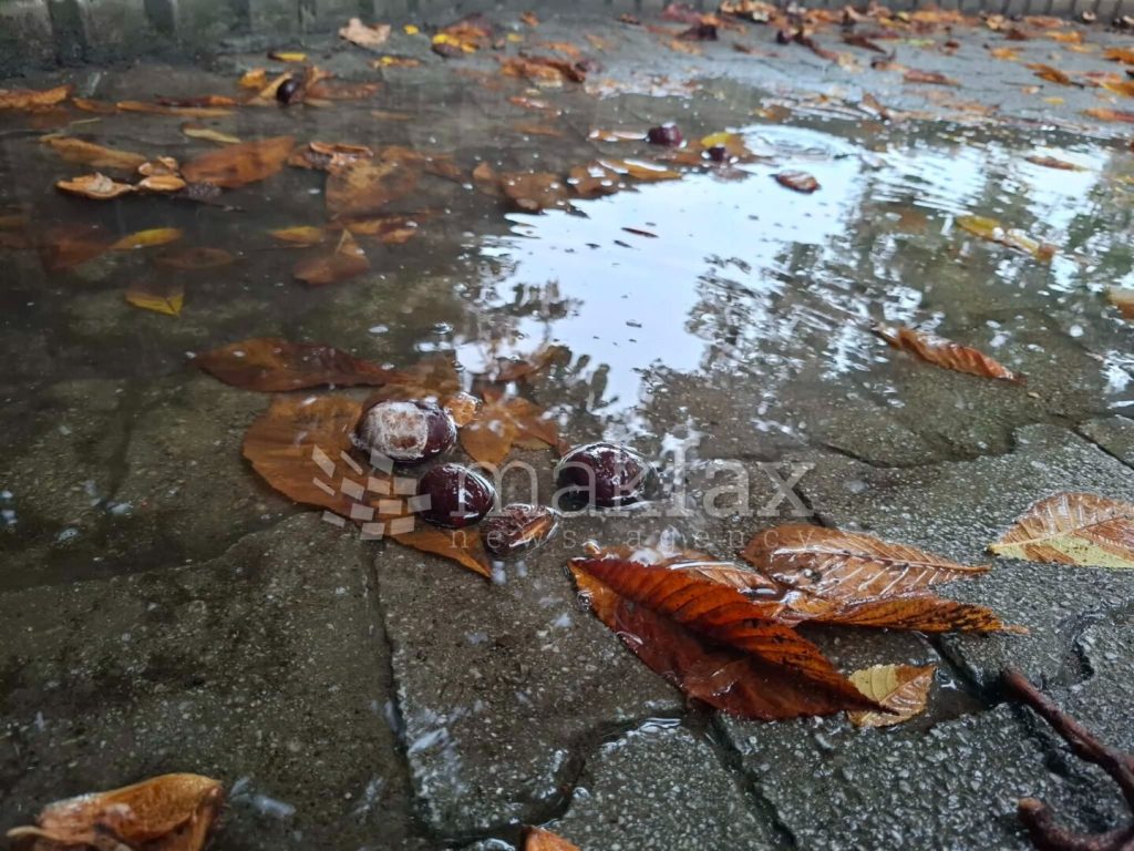 Променливо облачно, претпладне со повремен дожд