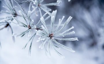 СТУДЕНО УТРО СО МИНУСНИ ТЕМПЕРАТУРИ: Во текот на денот променливо облачно време со силен северен ветер