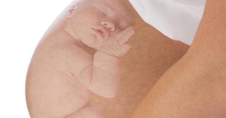 Што прави бебето во стомакот? Научни откритија што можат да ве изненадат