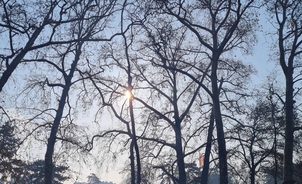 Главната вечер на Струмичкиот карневал ќе се одржи на 21 февруари