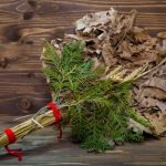 ЗНАЧЕЊЕТО НА БАДНИКОВОТО ГРАНЧЕ