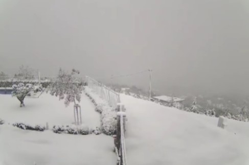 Еден патен правец е непрооден поради голомразица