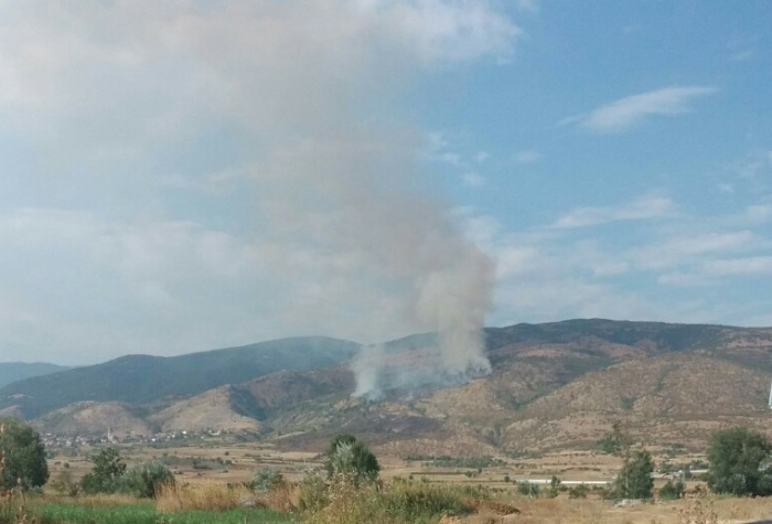 Пожар на Скопска Црна Гора