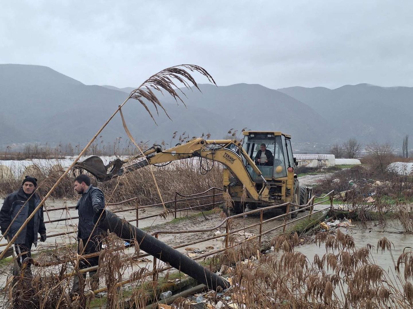 Надојдената река Тркања однесе 120 јагниња и 100 овци во струмичко