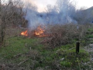 Пожар на Скопска Црна Гора