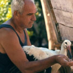 Програма што не нуди лесна забава, туку е покана за длабинско гледање