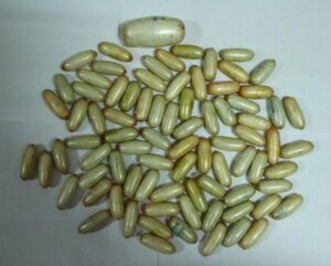 Обид за шверц од Белгија во Италија – Нигеријка проголта 121 капсула со дрога